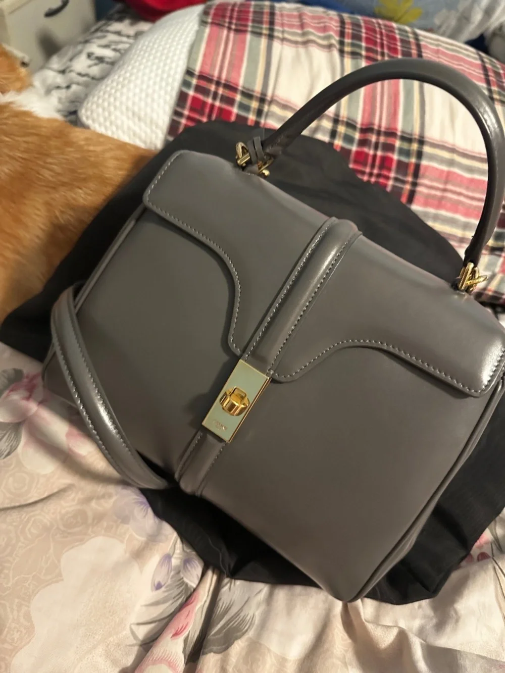 CELINE Women's Satinated smooth Calfskin Leather Bag (Corgi not included)